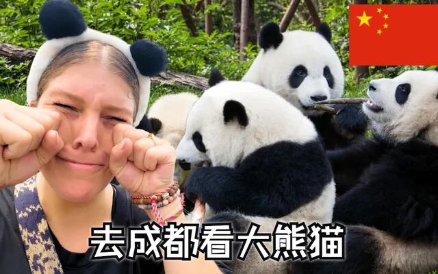 Visiting the Chengdu Panda Base — Irish Couple Amazed